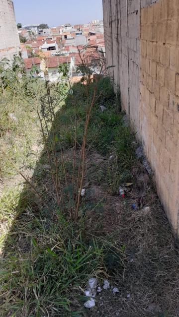 imagem 3 - Terreno Plano em Região Privilegiada no Vale do Paraíba ? Ótima Oportunidade! imagem 3 - Terreno Plano em Região Privilegiada no Vale do Paraíba ? Ótima Oportunidade!