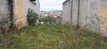 imagem 1 - Terreno Plano em Região Privilegiada no Vale do Paraíba ? Ótima Oportunidade! imagem 1 - Terreno Plano em Região Privilegiada no Vale do Paraíba ? Ótima Oportunidade!
