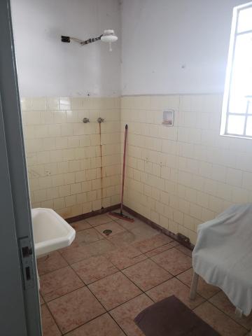 imagem 5 - Casa - Padrão imagem 5 - Casa - Padrão