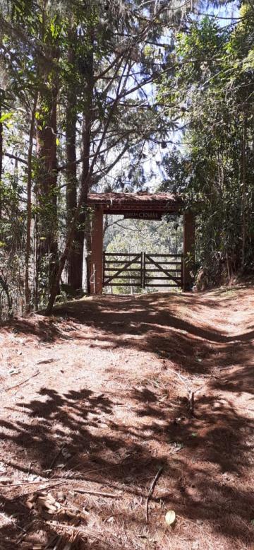 Alugar Rural / Chácara em Santo Antônio do Pinhal. apenas R$ 800.000,00