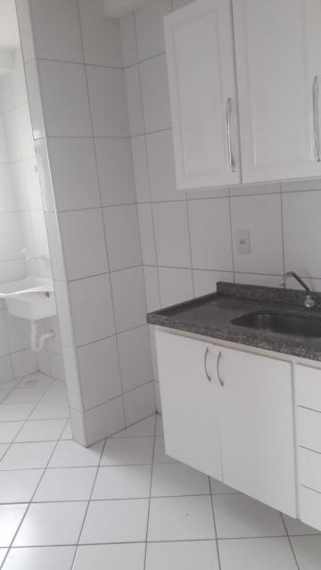 imagem 3 - Apartamento - Padrão imagem 3 - Apartamento - Padrão
