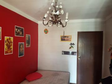 imagem 4 - Casa - Padrão imagem 4 - Casa - Padrão