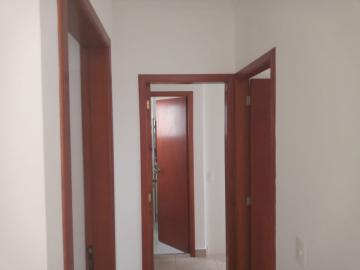 imagem 3 - Apartamento - Padrão imagem 3 - Apartamento - Padrão