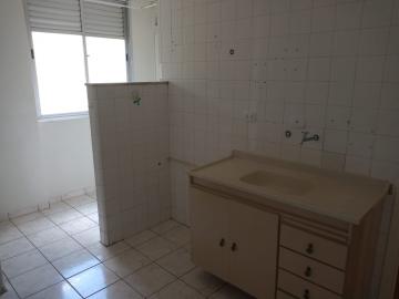 imagem 5 - Apartamento - Padrão imagem 5 - Apartamento - Padrão