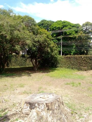 imagem 1 - Terreno - Comercial imagem 1 - Terreno - Comercial