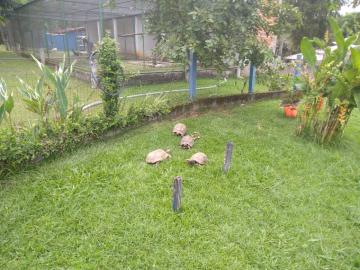 imagem 4 - Rural - Chácara imagem 4 - Rural - Chácara