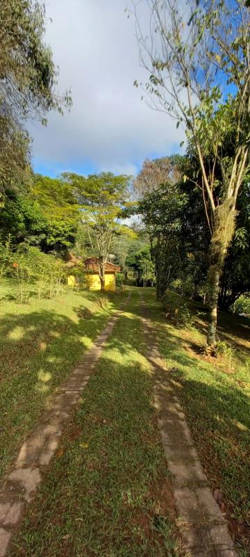 imagem 5 - Rural - Sítio imagem 5 - Rural - Sítio