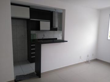 imagem 1 - Apartamento - Padrão imagem 1 - Apartamento - Padrão