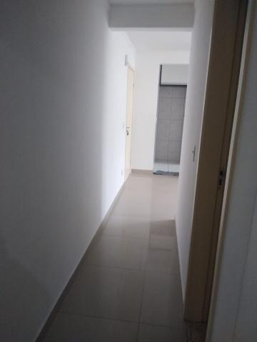 imagem 4 - Apartamento - Padrão imagem 4 - Apartamento - Padrão
