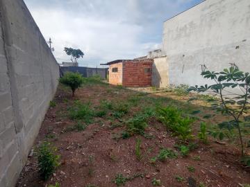imagem 1 - Terreno - Padrão imagem 1 - Terreno - Padrão