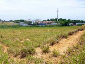 imagem 1 - Terreno - Área imagem 1 - Terreno - Área