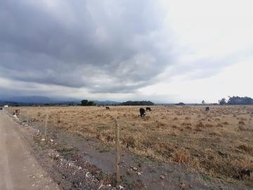 imagem 3 - Terreno - Rural imagem 3 - Terreno - Rural