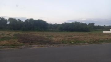 imagem 1 - Lote Espaçoso 340m² em Bairro Tranquilo: A Base do Seu Novo Lar! imagem 1 - Lote Espaçoso 340m² em Bairro Tranquilo: A Base do Seu Novo Lar!