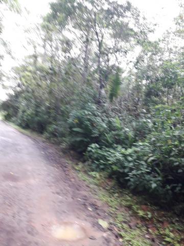 imagem 3 - Terreno - Padrão imagem 3 - Terreno - Padrão
