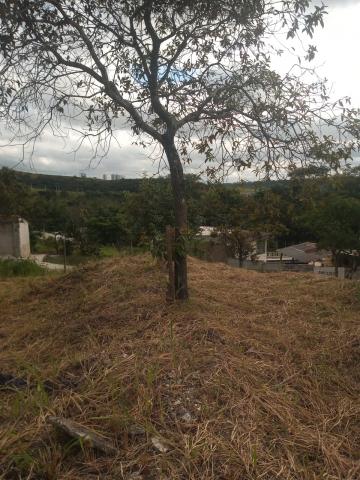 imagem 3 - Terreno - Padrão imagem 3 - Terreno - Padrão