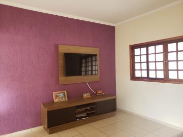 imagem 3 - Casa - Padrão imagem 3 - Casa - Padrão