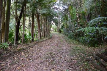imagem 4 - Rural - Rancho imagem 4 - Rural - Rancho