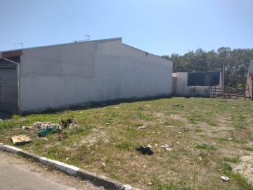 imagem 2 - Terreno - Padrão imagem 2 - Terreno - Padrão