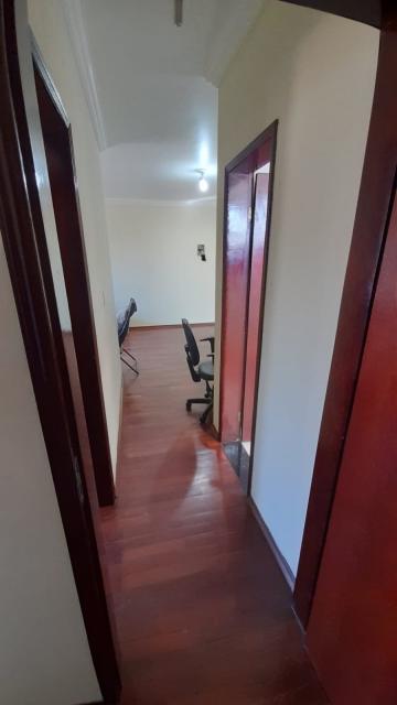 imagem 2 - Apartamento - Padrão imagem 2 - Apartamento - Padrão