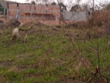 imagem 2 - Terreno Espaçoso 300m² no Jardim Maracaibo: Oportunidade Única para Seu Projeto! imagem 2 - Terreno Espaçoso 300m² no Jardim Maracaibo: Oportunidade Única para Seu Projeto!