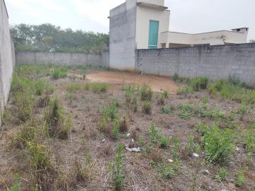 imagem 3 - Terreno Plano de 249m² no Parque das Palmeiras - Taubaté! imagem 3 - Terreno Plano de 249m² no Parque das Palmeiras - Taubaté!