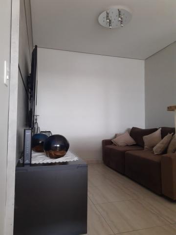imagem 5 - Apartamento - Padrão imagem 5 - Apartamento - Padrão