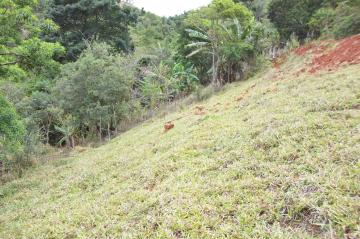 imagem 5 - Terreno - Padrão imagem 5 - Terreno - Padrão