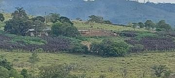 imagem 2 - Terreno - Área imagem 2 - Terreno - Área