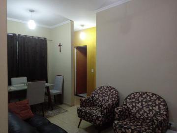 imagem 2 - Apartamento - Padrão imagem 2 - Apartamento - Padrão