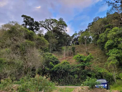 imagem 5 - Terreno - Padrão imagem 5 - Terreno - Padrão