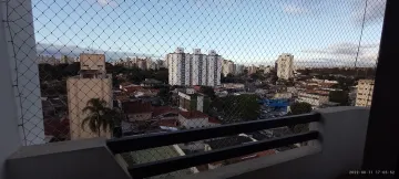 imagem 2 - Apartamento - Padrão imagem 2 - Apartamento - Padrão