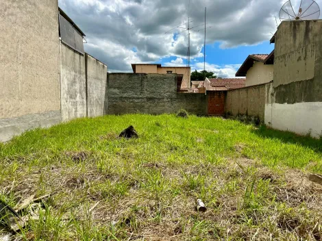 imagem 1 - Terreno 300m² Murado, Plano e com Finalidade Mista Próximo ao Spani e Anhangüera! imagem 1 - Terreno 300m² Murado, Plano e com Finalidade Mista Próximo ao Spani e Anhangüera!