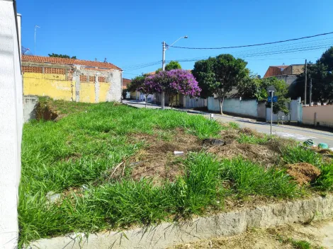 imagem 1 - Terreno - Padrão imagem 1 - Terreno - Padrão