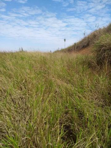 imagem 2 - Terreno - Padrão imagem 2 - Terreno - Padrão