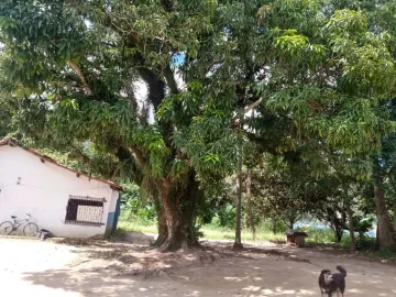 imagem 4 - Terreno - Padrão imagem 4 - Terreno - Padrão