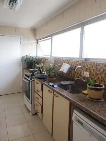 imagem 3 - Apartamento - Padrão imagem 3 - Apartamento - Padrão