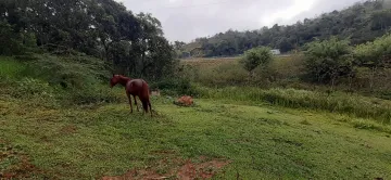 imagem 3 - Rural - Sítio imagem 3 - Rural - Sítio