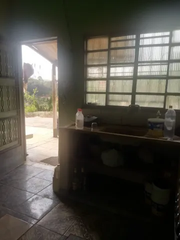 imagem 3 - Chácara Maravilhosa na Zona Norte de São José dos Campos imagem 3 - Chácara Maravilhosa na Zona Norte de São José dos Campos