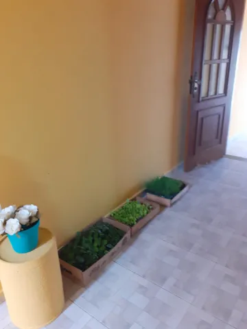 imagem 4 - Casa - Padrão imagem 4 - Casa - Padrão