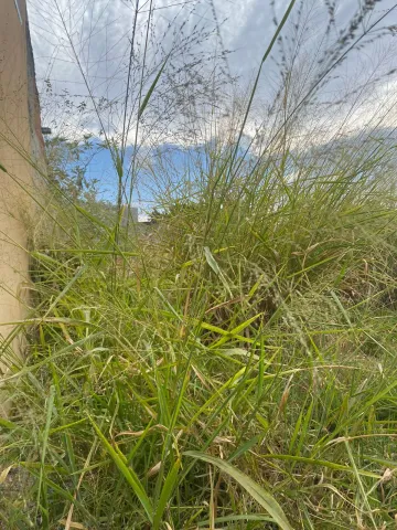imagem 3 - Terreno - Padrão imagem 3 - Terreno - Padrão