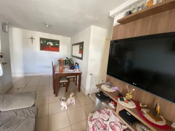 imagem 2 - Apartamento - Padrão imagem 2 - Apartamento - Padrão