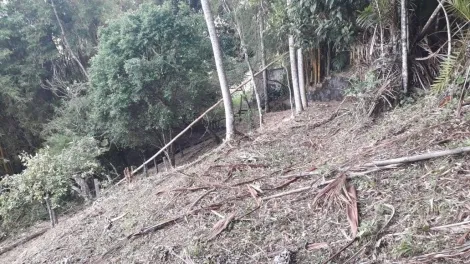 imagem 5 - Terreno - Padrão imagem 5 - Terreno - Padrão