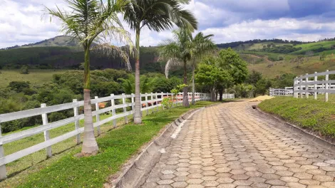 imagem 5 - Rural - Sítio imagem 5 - Rural - Sítio