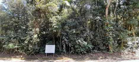 imagem 2 - Terreno com área verde abaixo do valor de mercado. imagem 2 - Terreno com área verde abaixo do valor de mercado.