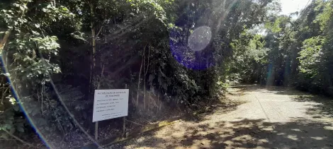 imagem 4 - Terreno com área verde abaixo do valor de mercado. imagem 4 - Terreno com área verde abaixo do valor de mercado.