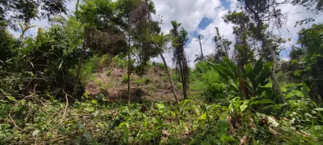 imagem 5 - Terreno - Padrão imagem 5 - Terreno - Padrão