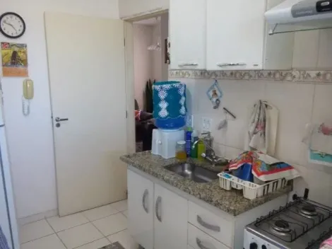 imagem 4 - Apartamento - Padrão imagem 4 - Apartamento - Padrão