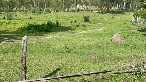 imagem 1 - Terreno - Área imagem 1 - Terreno - Área