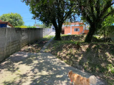 imagem 4 - Rural - Chácara imagem 4 - Rural - Chácara
