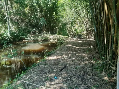 imagem 2 - Terreno - Área imagem 2 - Terreno - Área